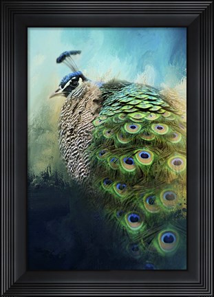 Framed Peacock In Winter Print