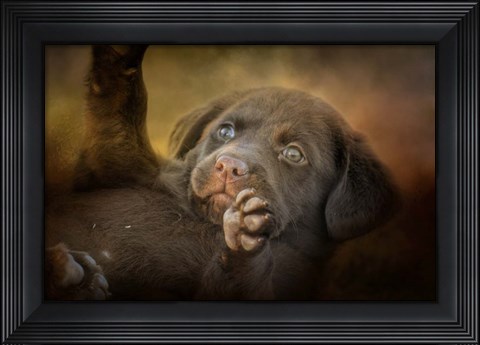 Framed Welcoming The Sun Print