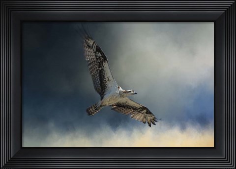 Framed Winter Osprey Print
