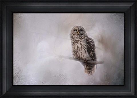 Framed Winter Owl Print