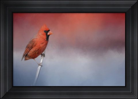 Framed Challenged Print