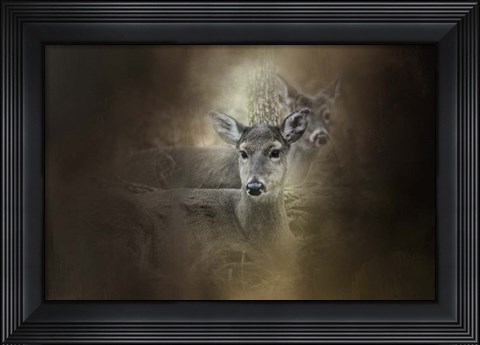 Framed In Our Woods Print