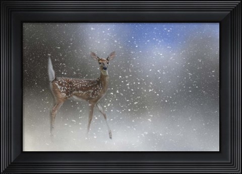 Framed Step Out In Faith Print