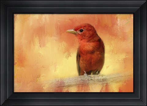 Framed Summer Red Print