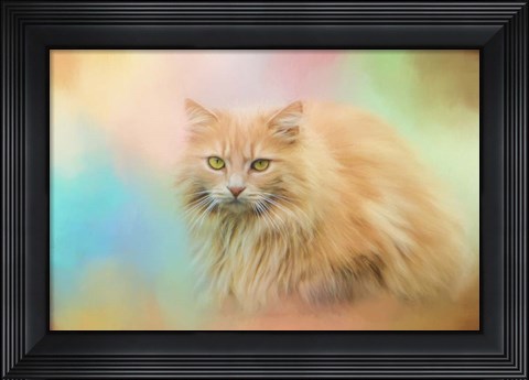 Framed Waiting for Birds Print