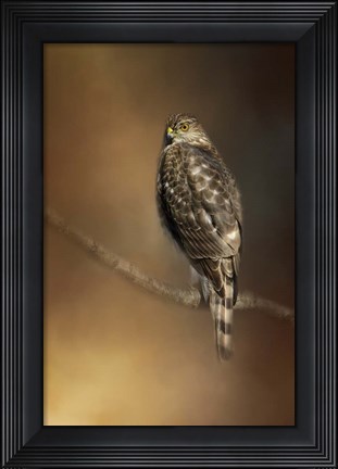 Framed What Goes On Below Print
