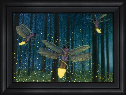 Framed Night Light Flight Print