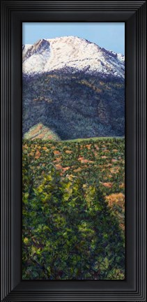 Framed Pike&#39;s Peak in Summer Print