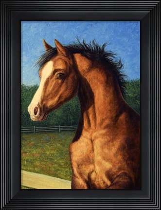 Framed Stir Crazy Print