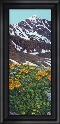 Framed Torrey&#39;s Peak in Spring Print