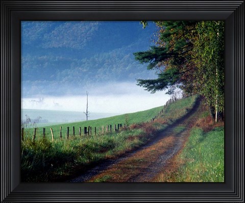 Framed Hyatt Lane Print