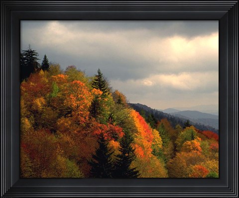 Framed Flame Ridge Print