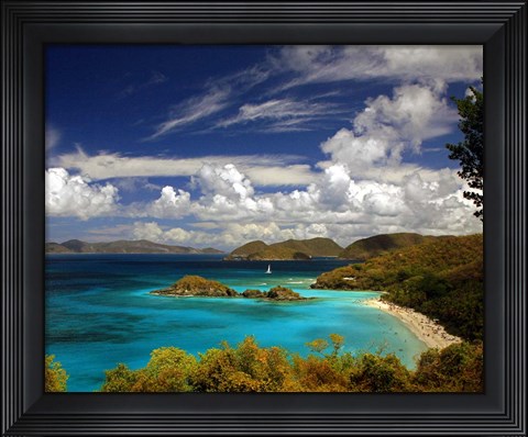 Framed Trunk Bay Print