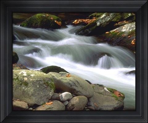 Framed Little River Elkmont #1 Print