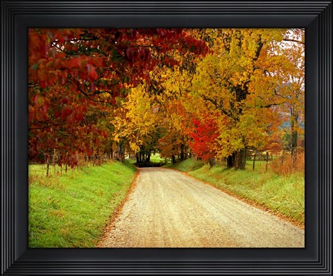 Framed Sparks Lane, TN Print