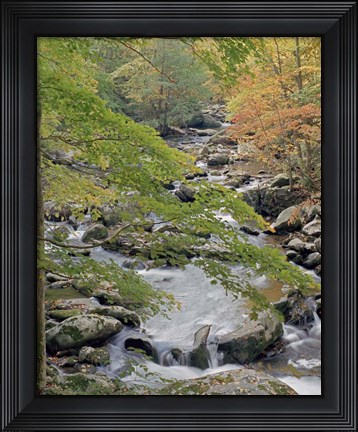 Framed Middle Prong Print
