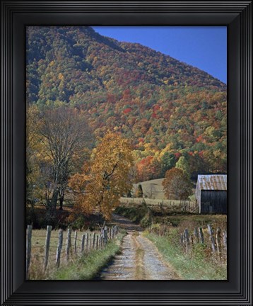 Framed Mt. Lane Print
