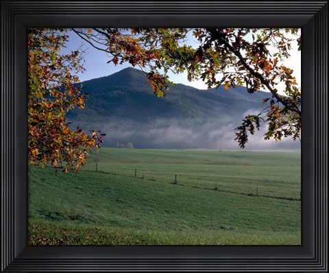 Framed Cades Cove Print