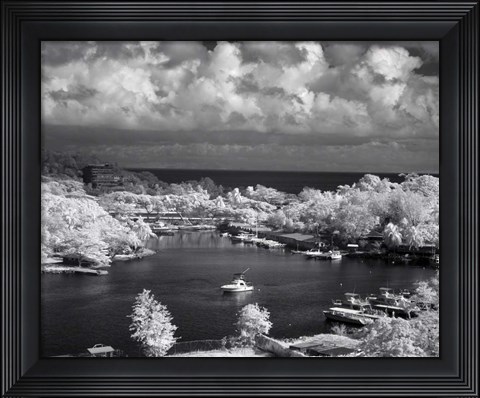Framed St. Lucia Print