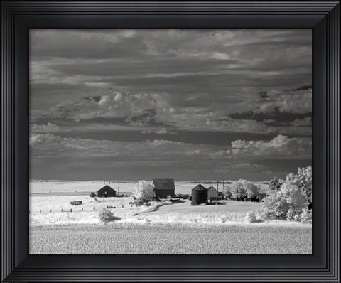 Framed Nebraska Farm Print