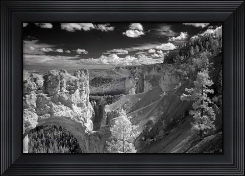 Framed Bryce Print