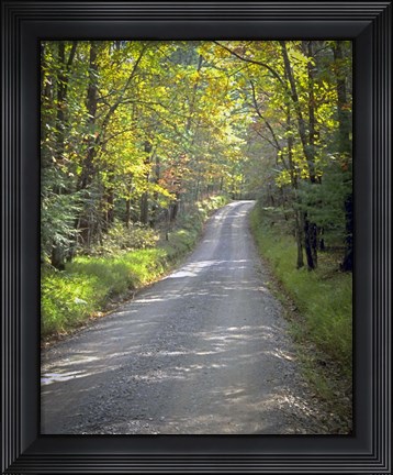 Framed Sparks Lane Print