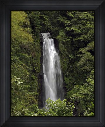 Framed Jungle Falls Print
