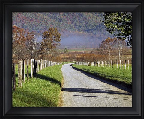 Framed #103 Hyatt Lane Print