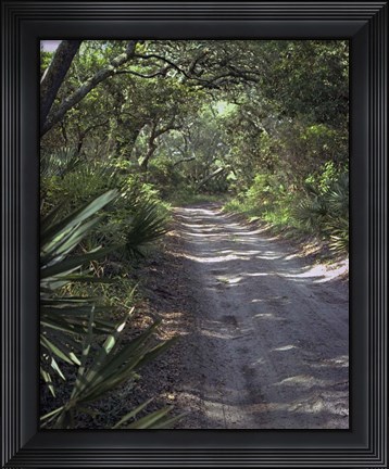 Framed #196  Sandy Lane Print