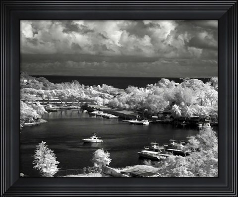 Framed #208 IR P  St. Lucia Print