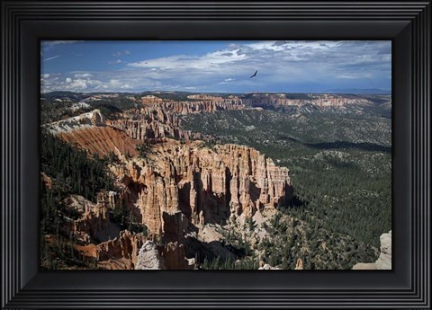 Framed #214 Soaring over Bryce Print