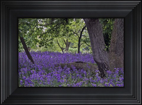 Framed #219 Lund Print