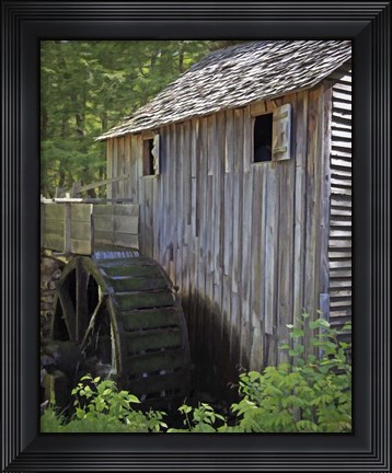 Framed 225 P Smokies Print