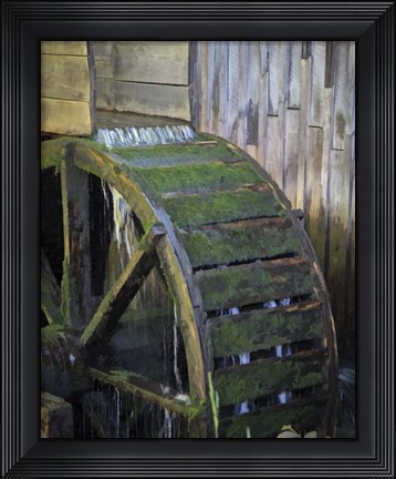 Framed 226 P Smokies Print