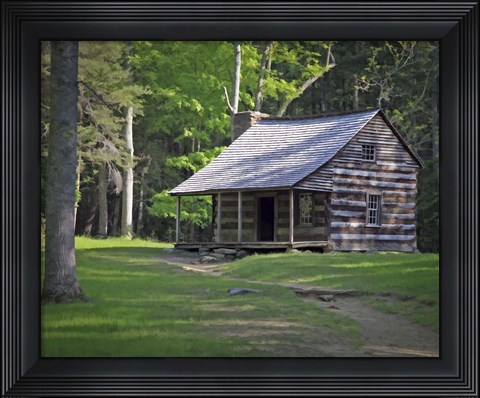 Framed 229 P Smokies Print