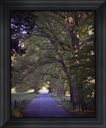 Framed 230 Smokies P Print