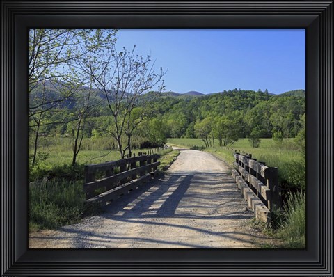 Framed 231 Smokies Print