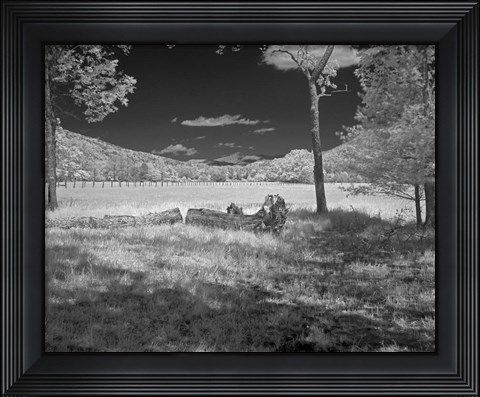 Framed 235 Smokies IR Print