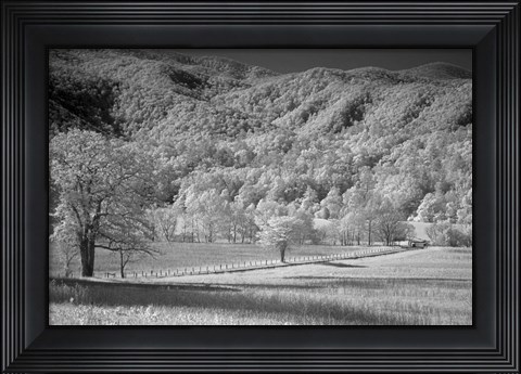Framed 236 Smokies IR Print