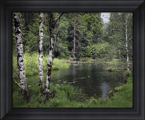 Framed 238 Olympic NP Print