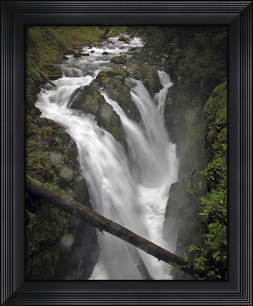 Framed 241 Olympic NP Print