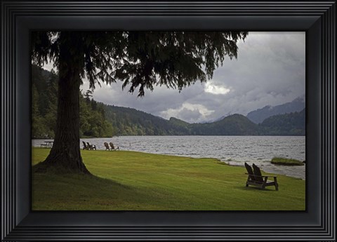 Framed 243 Olympic NP Print