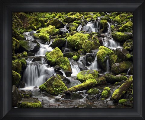 Framed 244 Olympic NP Print
