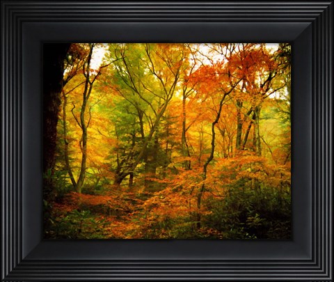 Framed Chimneys Trail GSMNP, TN Print