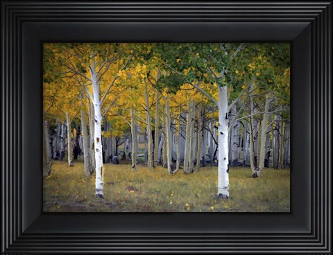Framed Dixie Forest, UT Print