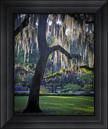 Framed Forsyth Pk, Savannah Print