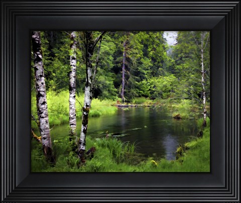 Framed Olympic Pk, WA Print