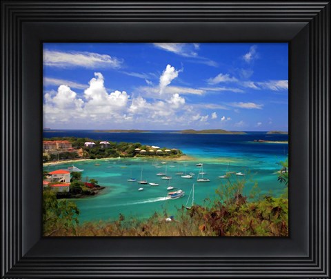 Framed St. Johns Print
