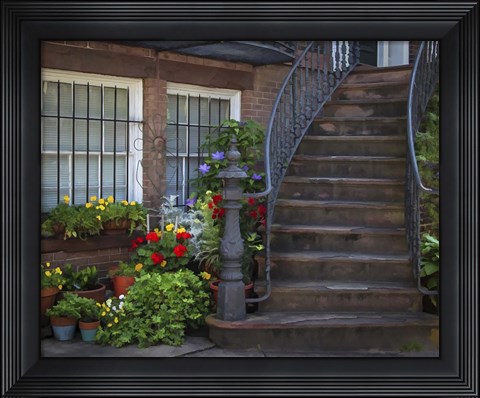 Framed Townhouse Steps Print