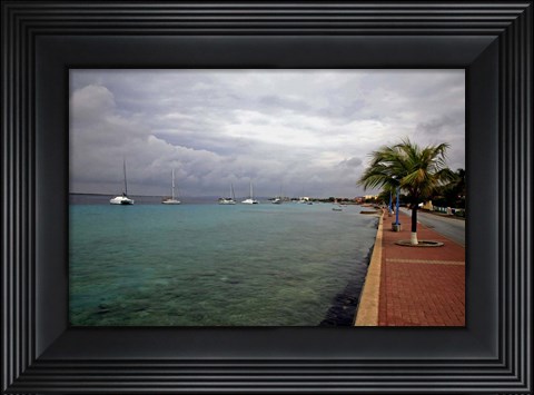 Framed Bonaire 1 Print